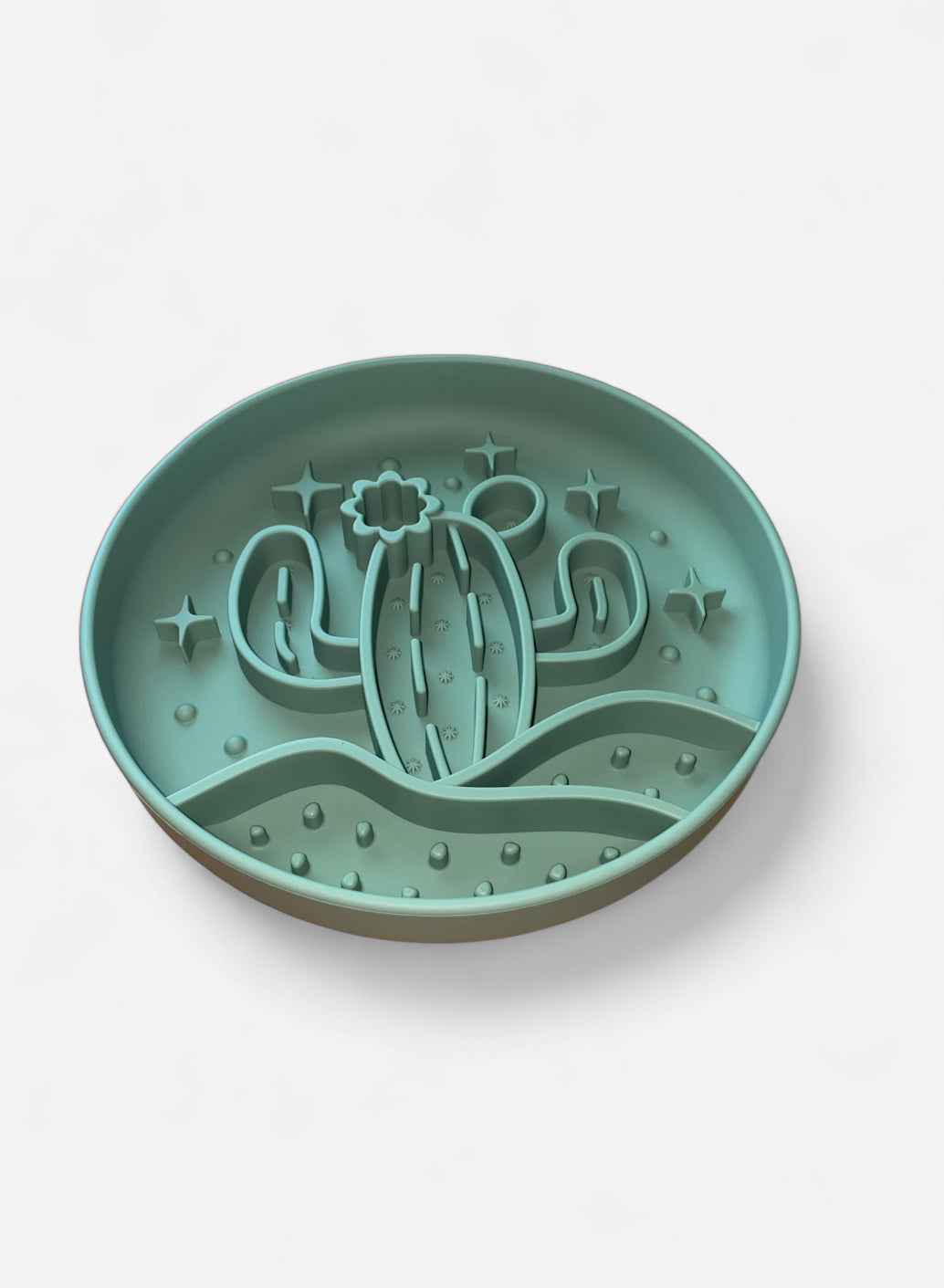 Slow Bowl Kaktus
