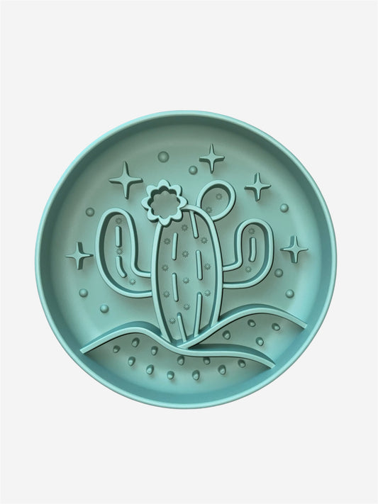 Slow Bowl Kaktus